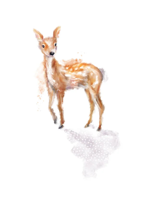 watercolourfawnmarthabowyer.jpg
