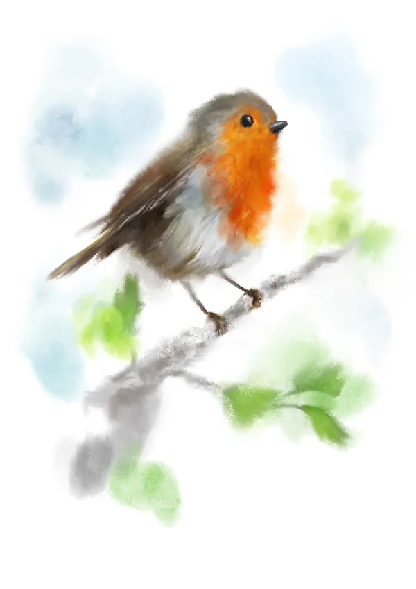 robinsketch3marthabowyer.jpg