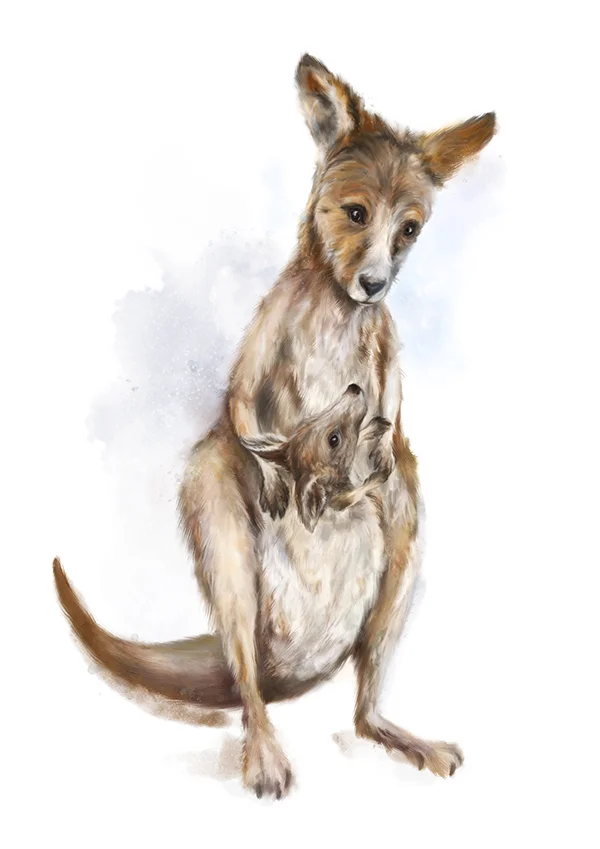 kangaroos1marthabowyer.jpg