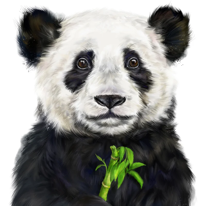 pandadetail1marthabowyer.jpg