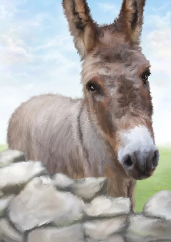 sunnydonkeymarthabowyer1.jpg