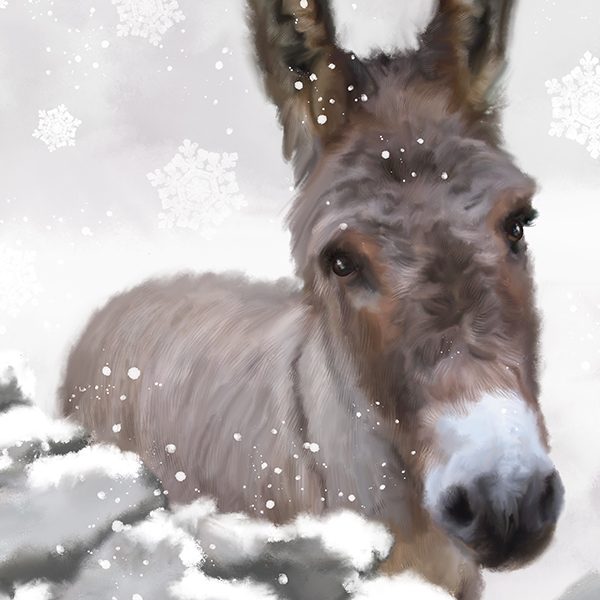 Also available as a beautiful ' Snowy Donkey ' — our Winter 2015 Bestseller.