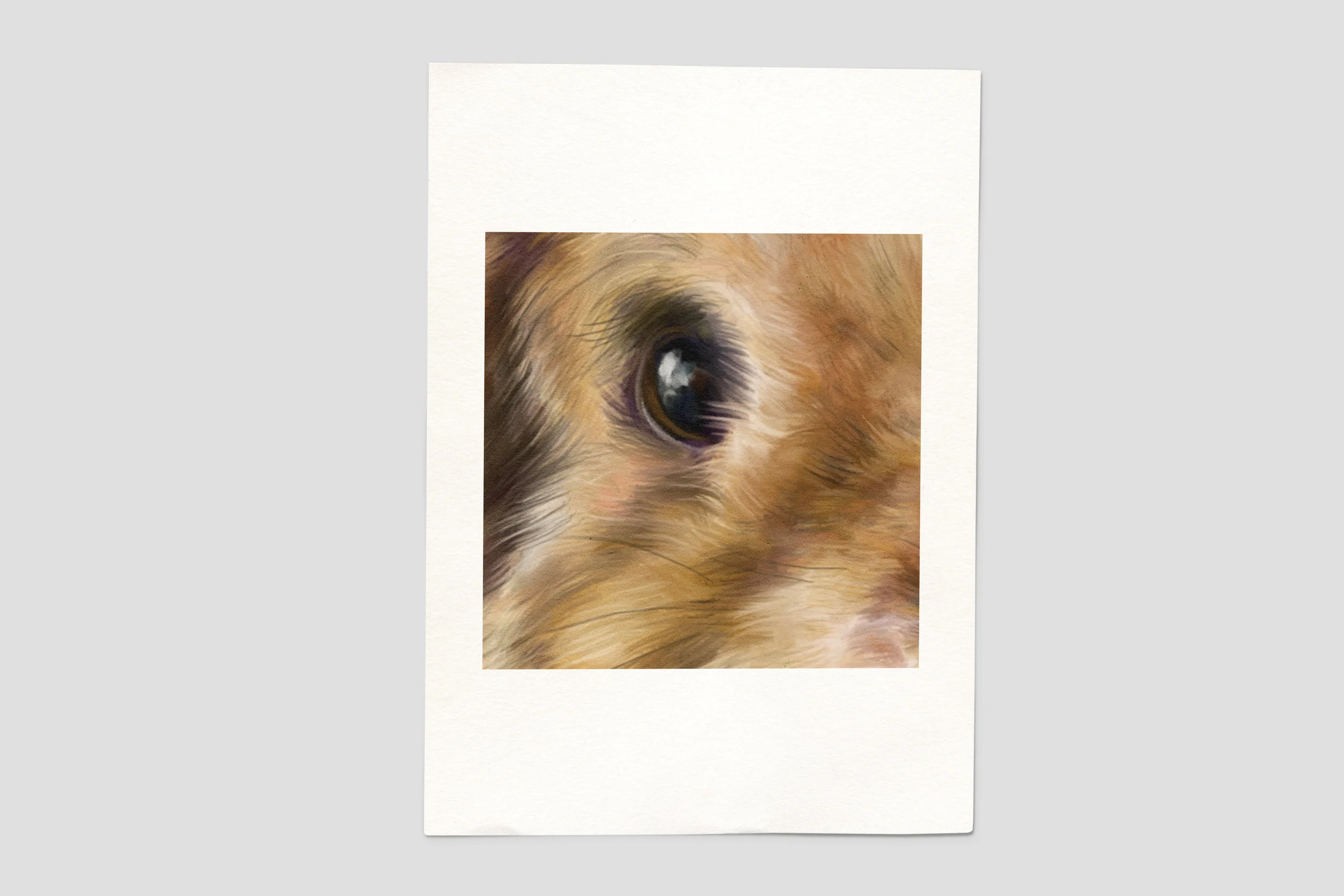 Eye Close-Up Square - Unframed Print Mockup 1.jpg