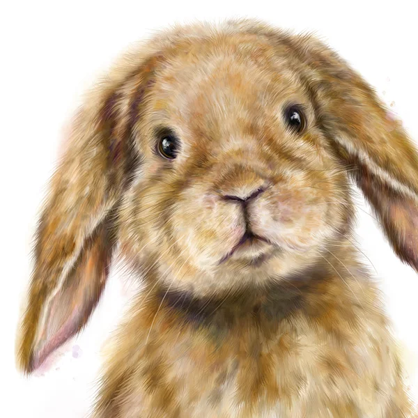 flopsybunnyrabbit2marthabowyer.jpg