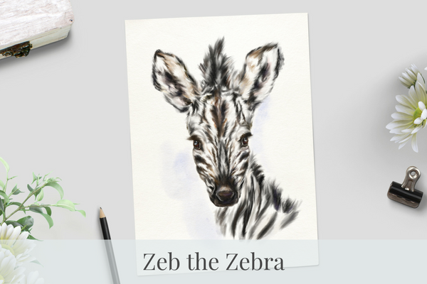 Zeb Mini Print - Pick & Mix.png