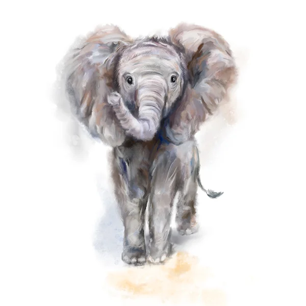 babyelephantmarthabowyer.jpg