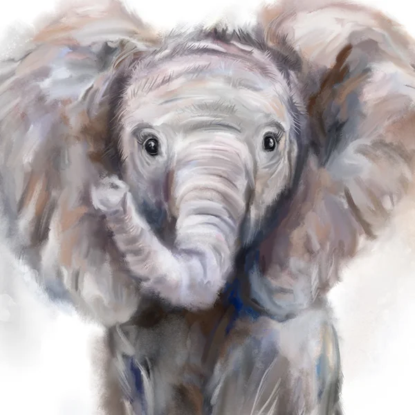 babyelephant4marthabowyer.jpg