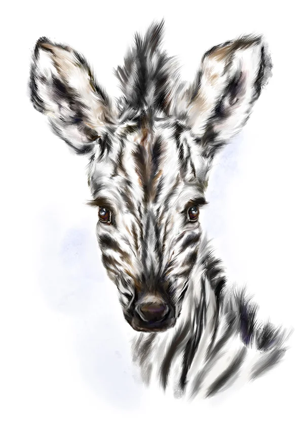 zebra1marthabowyer.jpg
