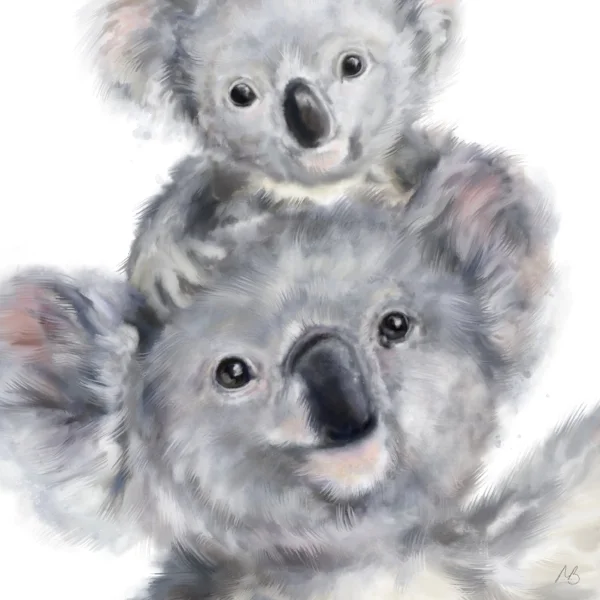 Kadee and Karri Koalas by Martha Bowyer.jpg