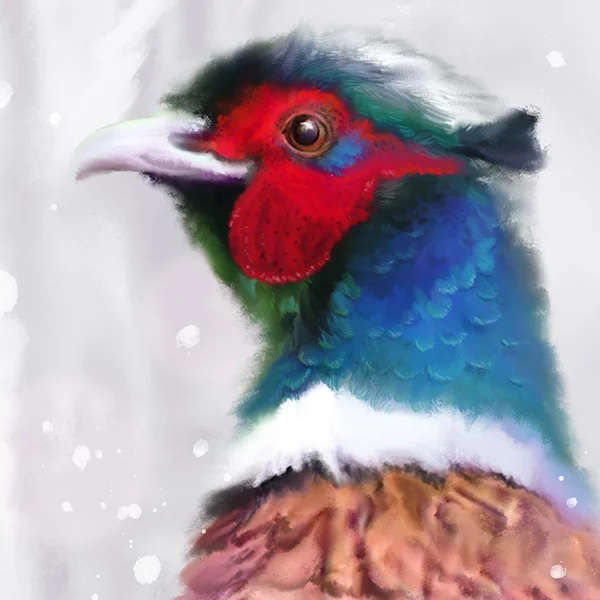 snowypheasantdetail1marthabowyer.jpg