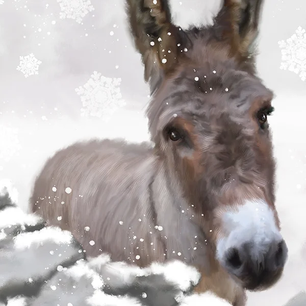 snowydonkeydetail2marthabowyer.jpg