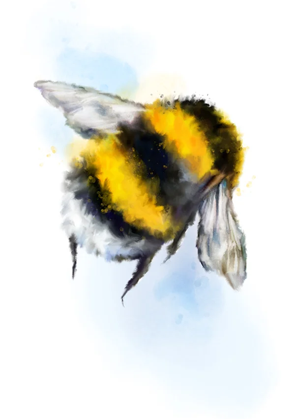 bumblebee2marthabowyer.jpg