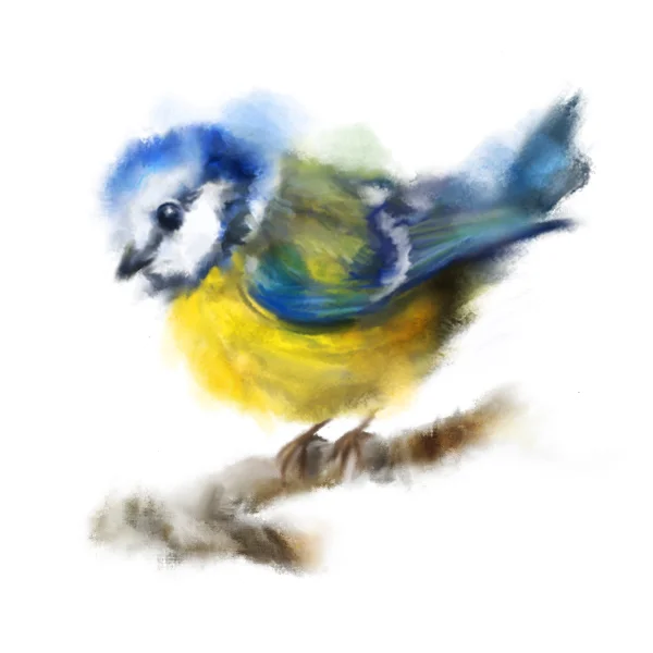 Blue Tit Sketch 1.jpg