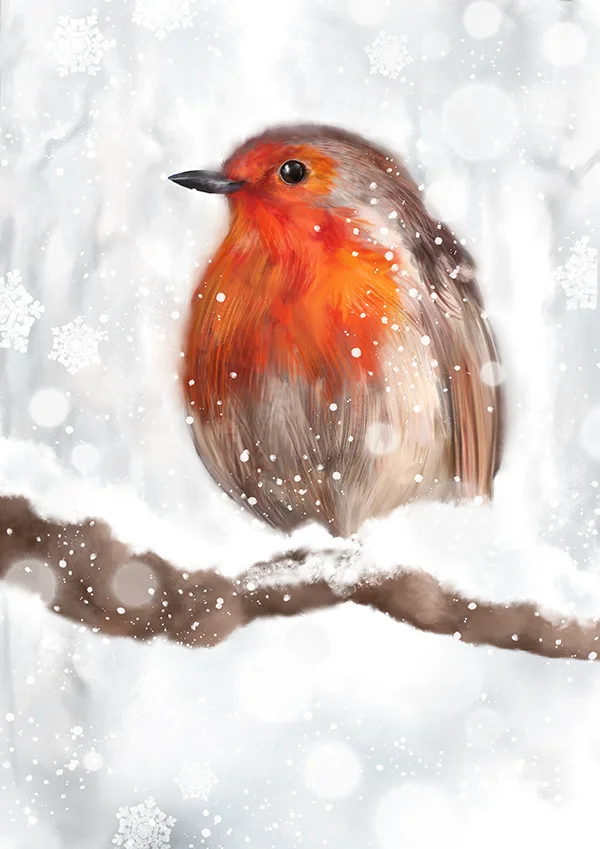 snowyrobinmarthabowyer.jpg