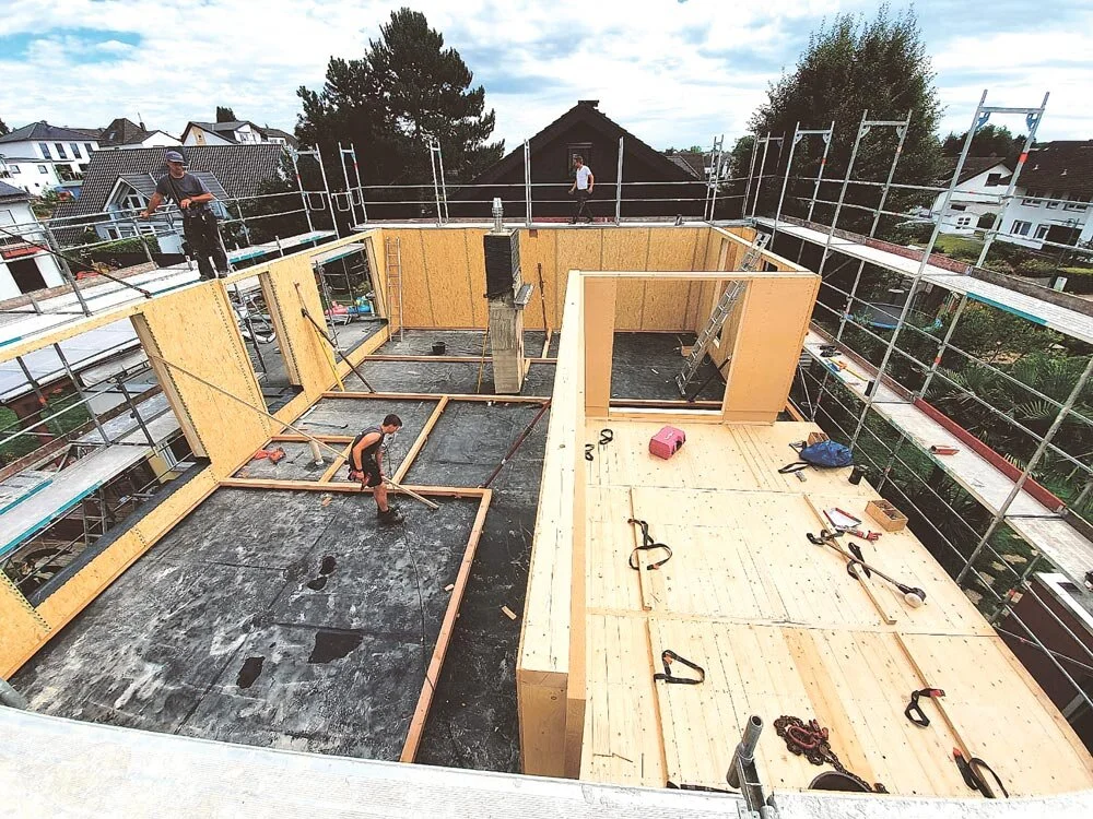 Ökolution Einweg-Pappteller 25 Stück - Biologisch Abbaubar, FSC-zertifiziert