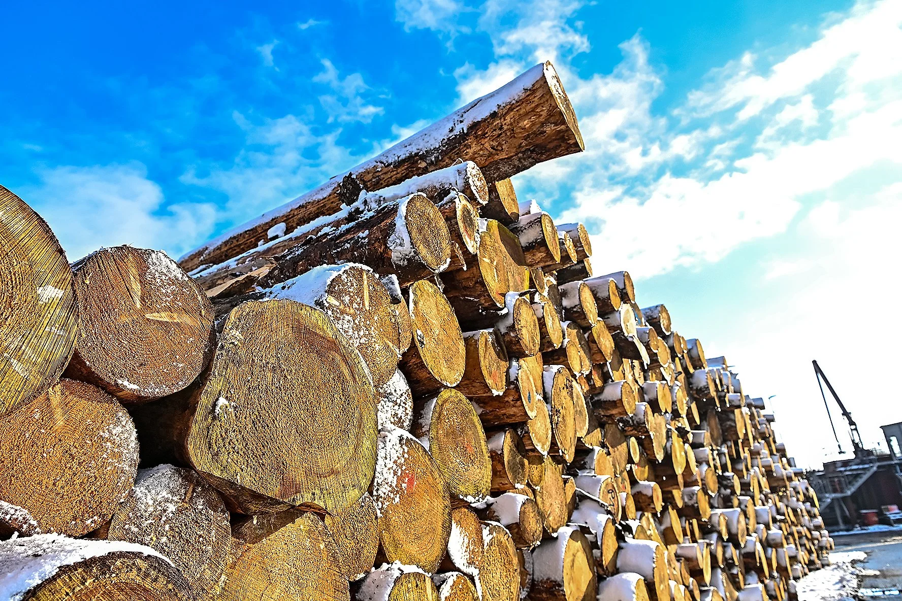 8-53-Rundholzplatz 2.jpg