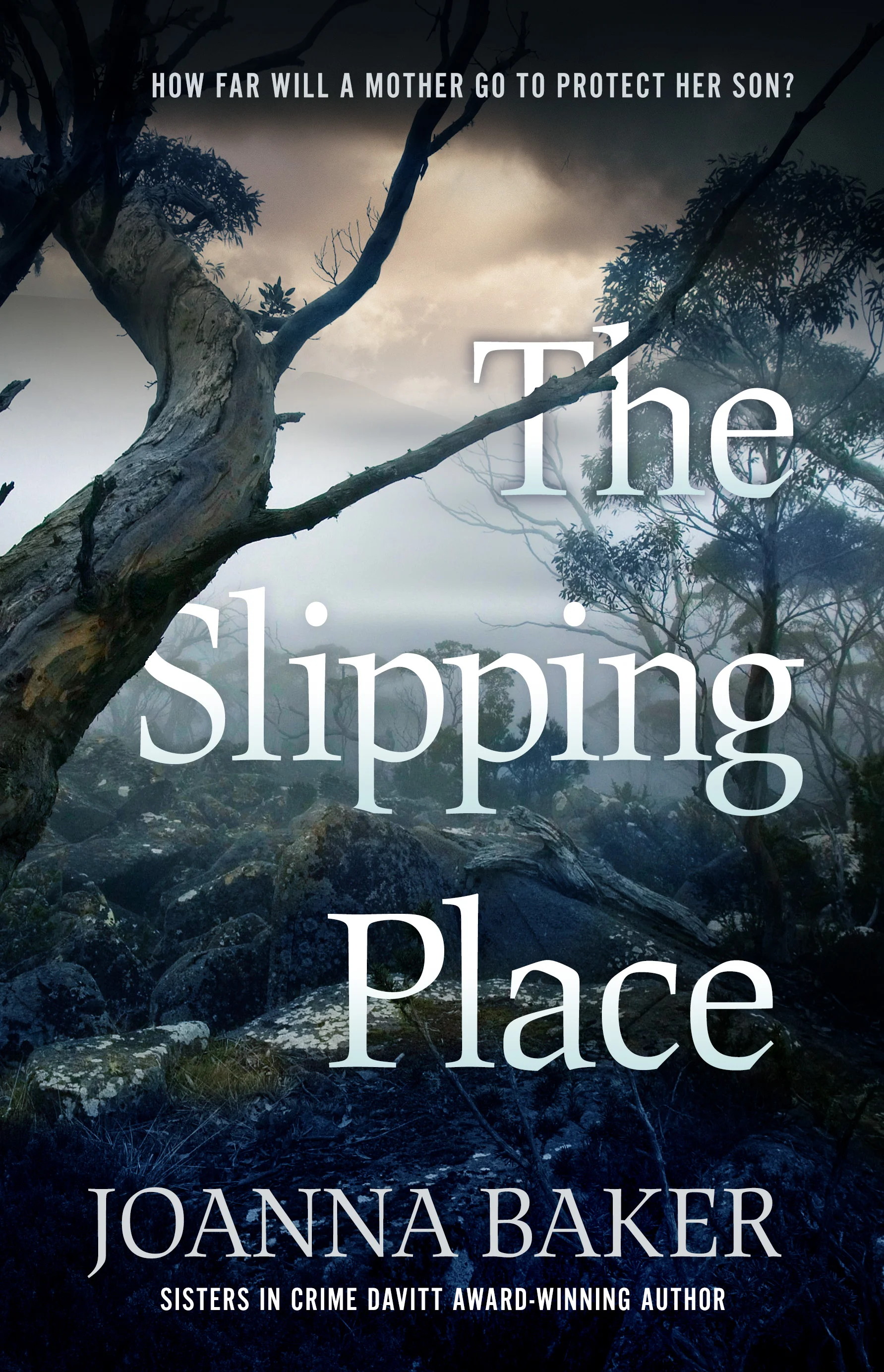 The Slipping Place_cover.jpg