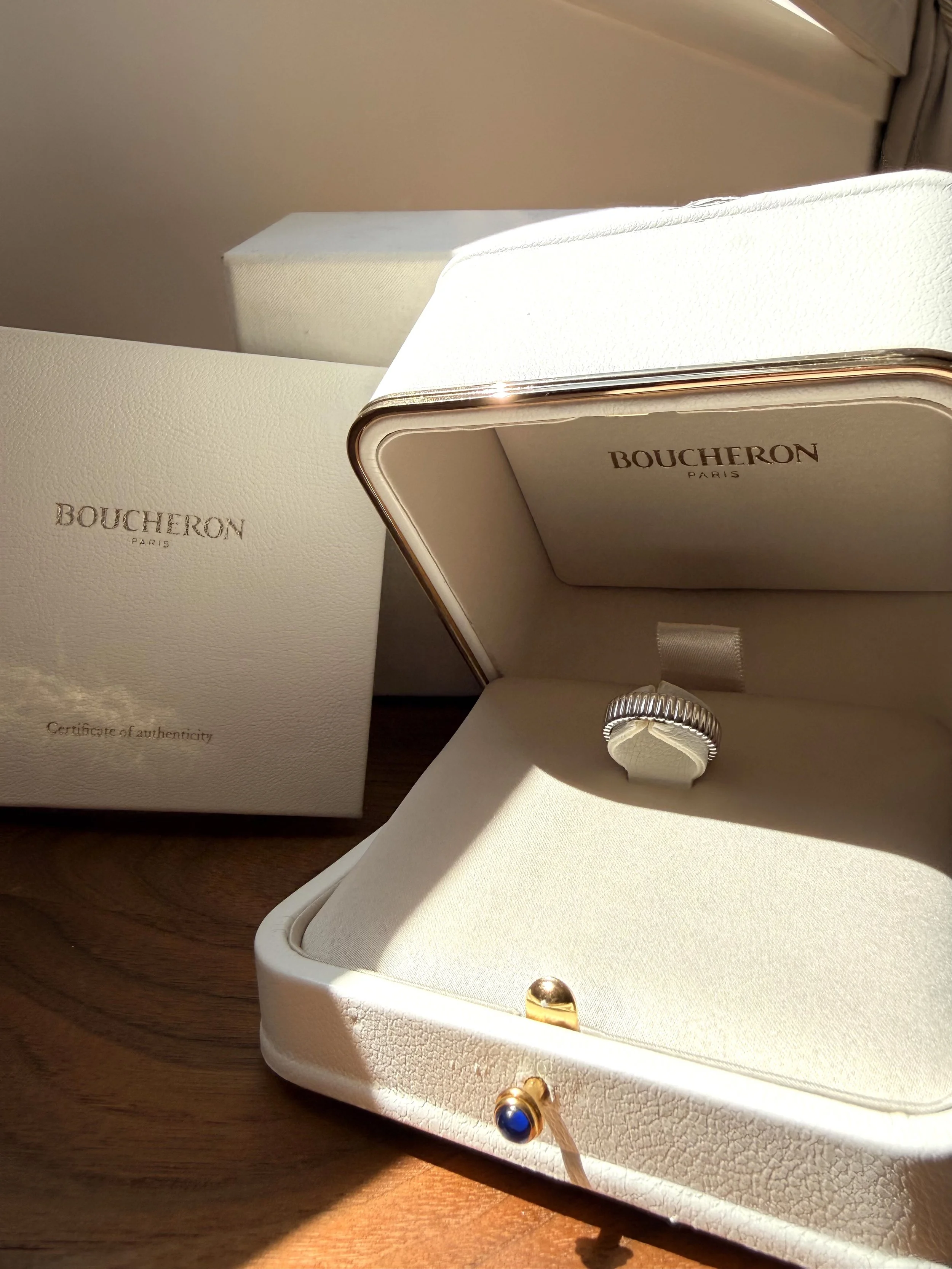 ADR2993-Alliance-Boucheron-bague-grosgrain-or-blanc-ecrin-signed-jewelry7.jpeg