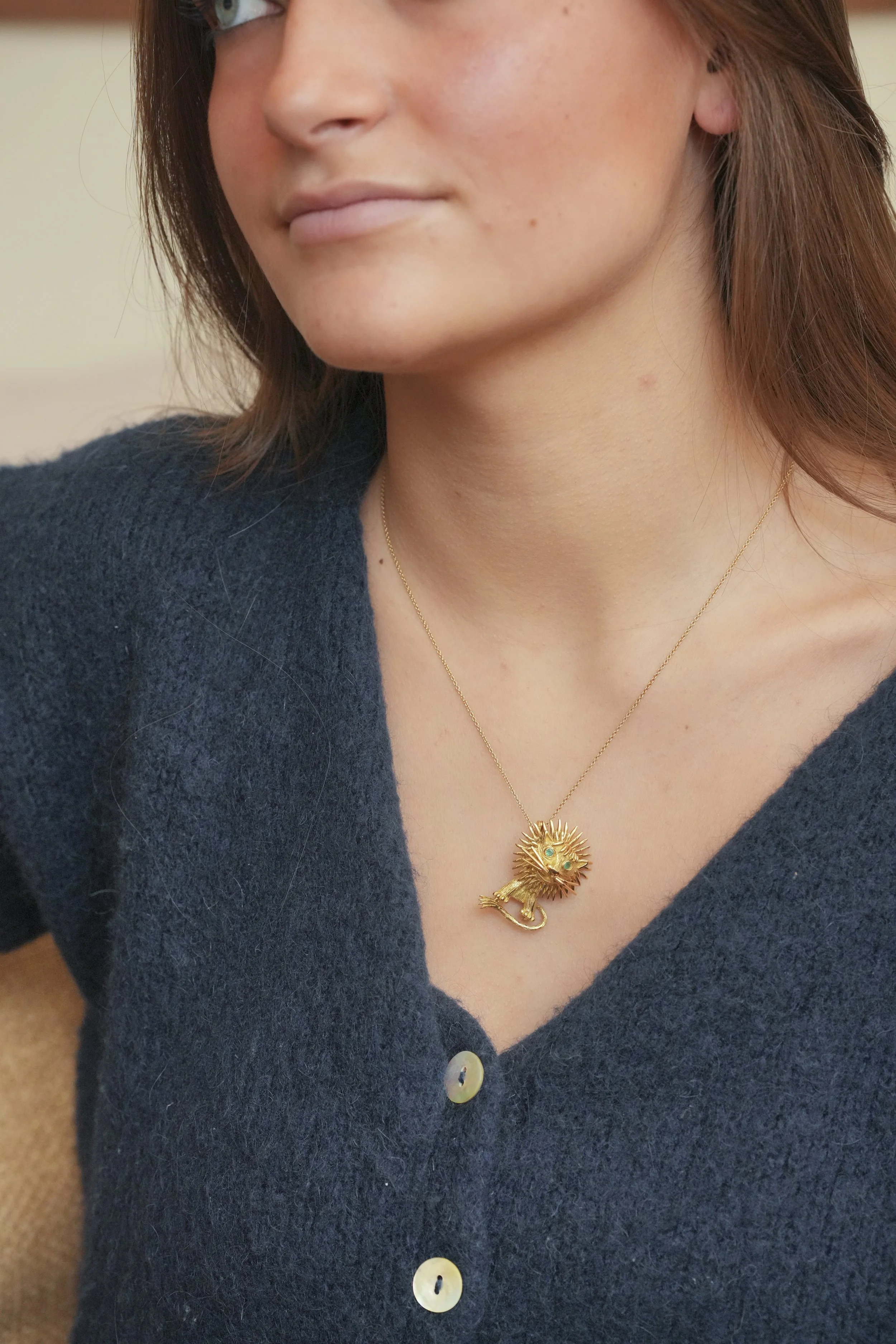 ADR2995-broche-lion0.jpg