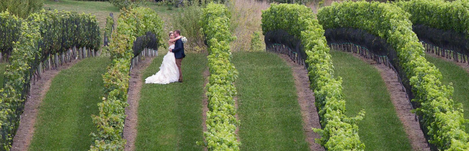 Ryan & Jenna - Black Barn Winery wedding 