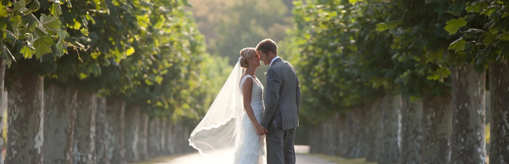 Emma & Matthew - The Mission Estate, Napier