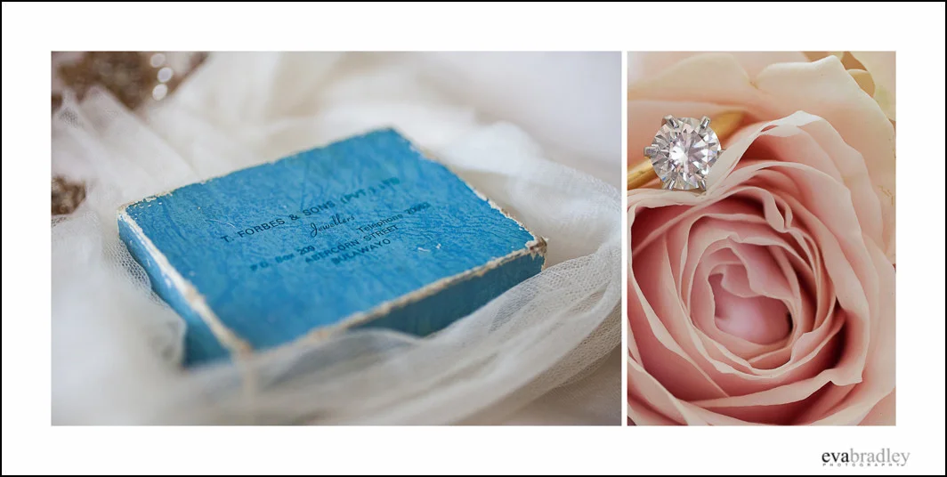 Eva Bradley Photography