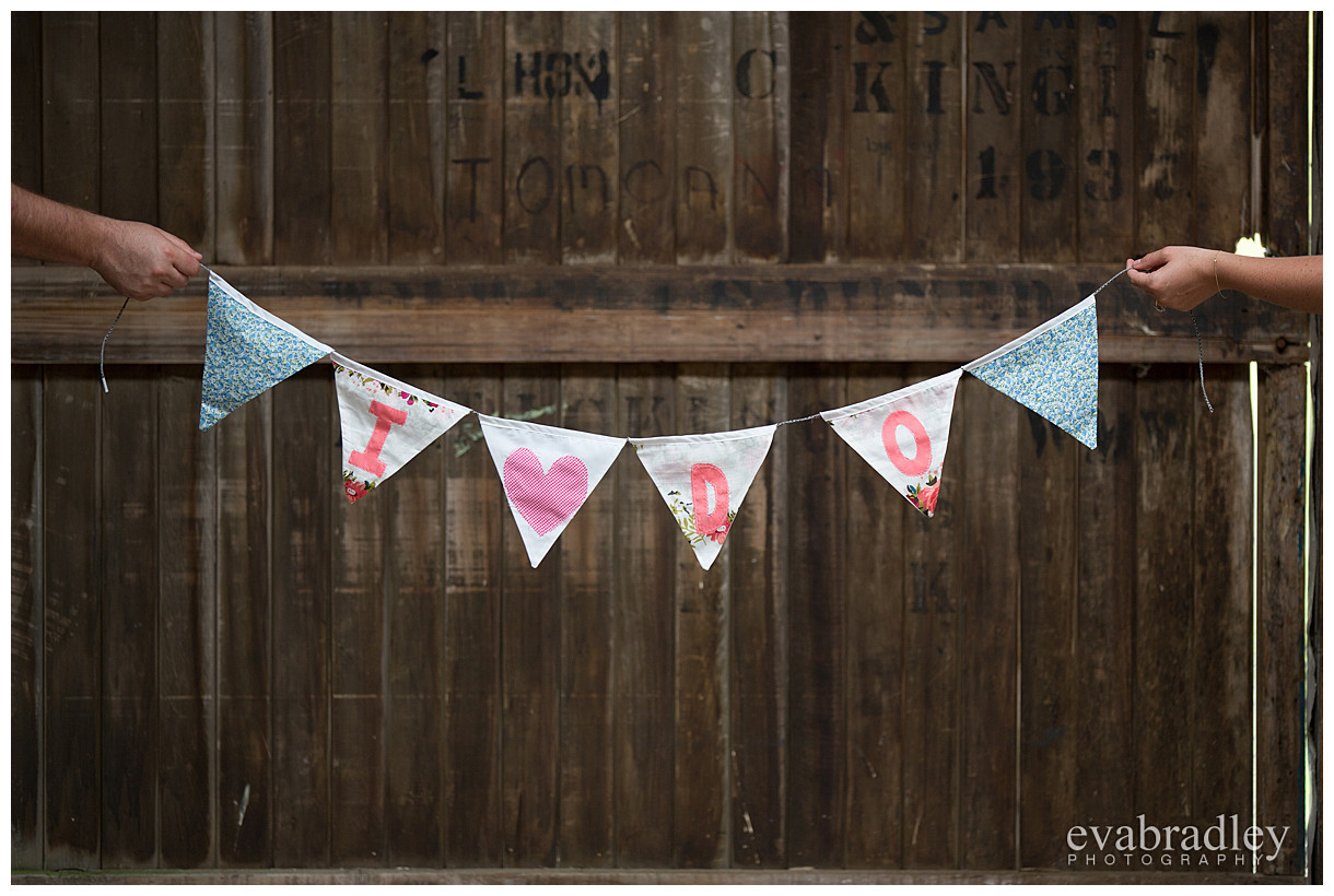 Helen & Henry's engagement