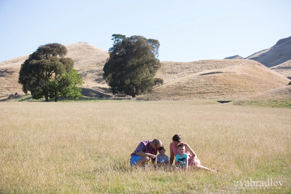 Stafford Family, 2014 - Havelock North family photography