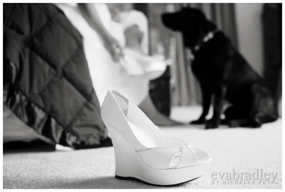 Rupert & Rachael Thomson, Hawkes Bay wedding