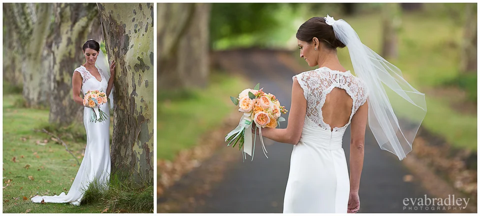 Hawkes Bay wedding venues