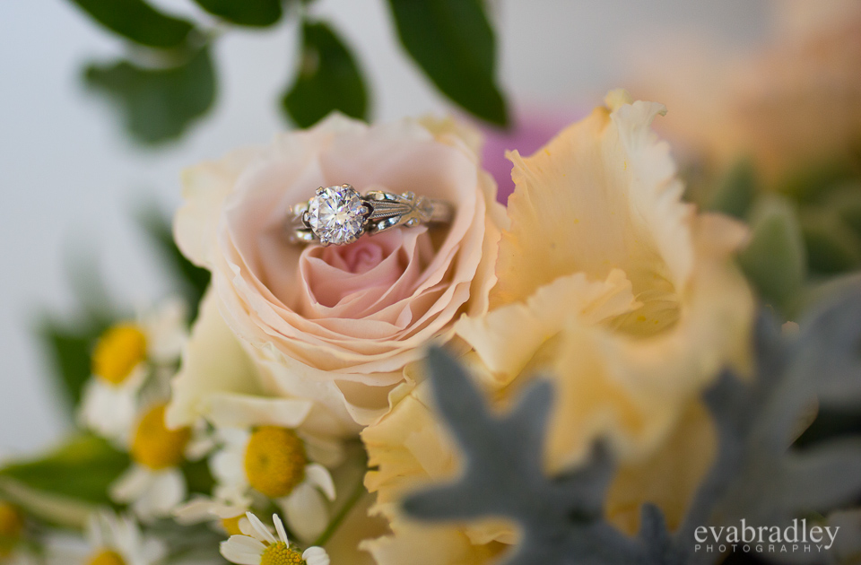 Kereru country wedding