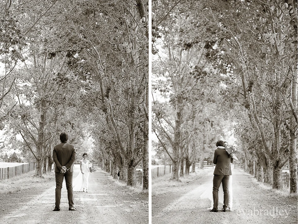 Kereru country wedding