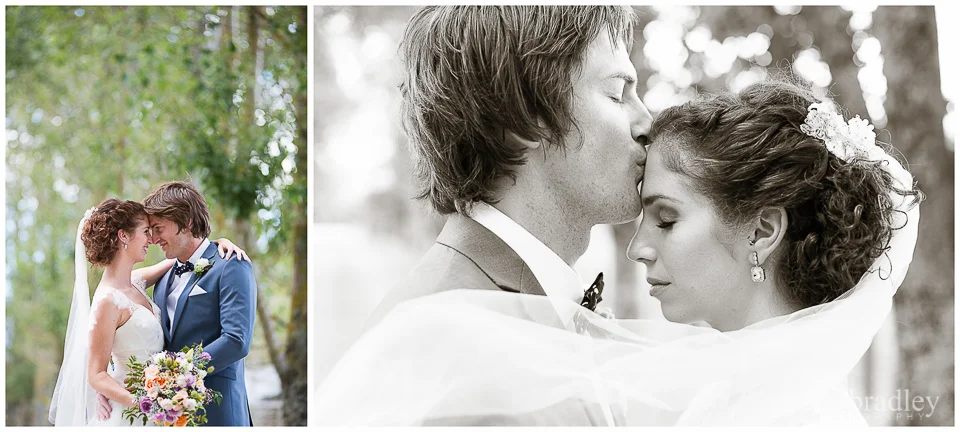 Kereru country wedding