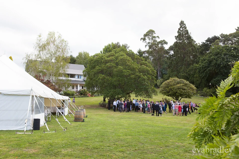 Kereru country wedding