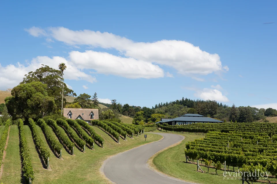 Hawkes Bay wedding