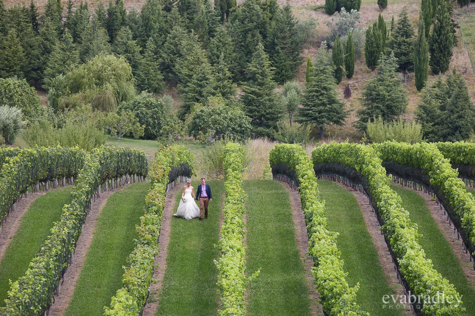 Hawkes Bay wedding