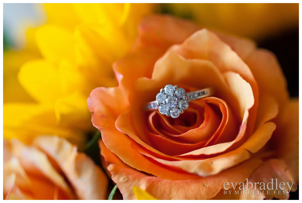 Hawkes Bay wedding photography