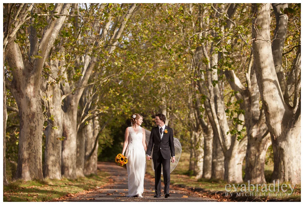 Hawkes Bay wedding photography
