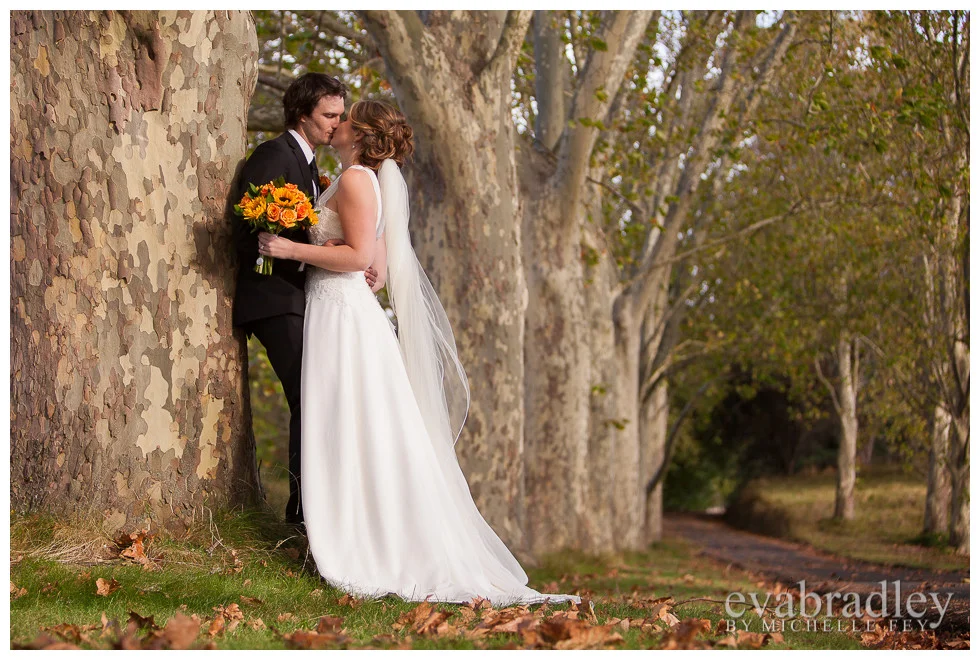 Hawkes Bay wedding photography