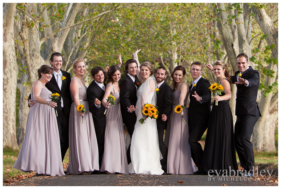 Hawkes Bay wedding photography