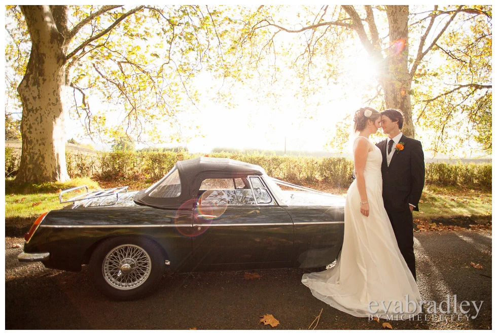 Hawkes Bay wedding photography