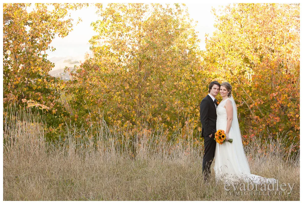 Hawkes Bay wedding photography