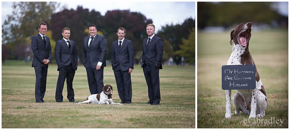 Wedding photography in Napier