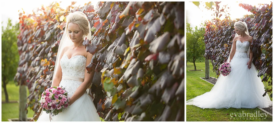 Wedding photography in Napier