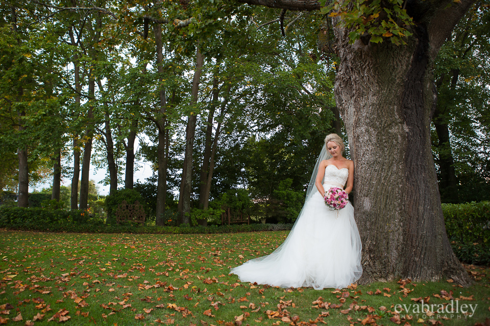 Wedding photography in Napier