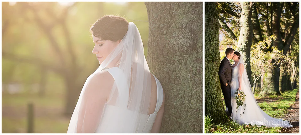 Terrace Views wedding