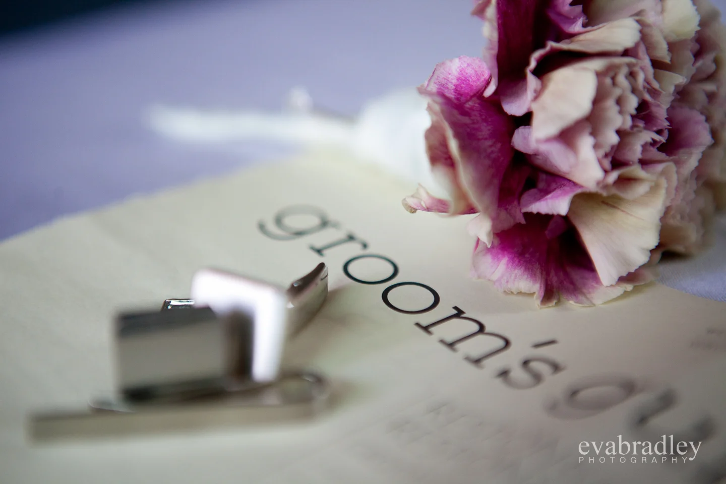 wedding photography hawkes bay