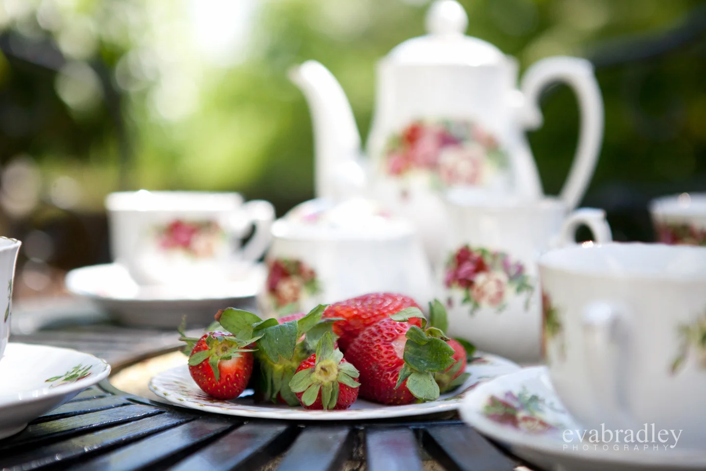 wedding photography hawkes bay