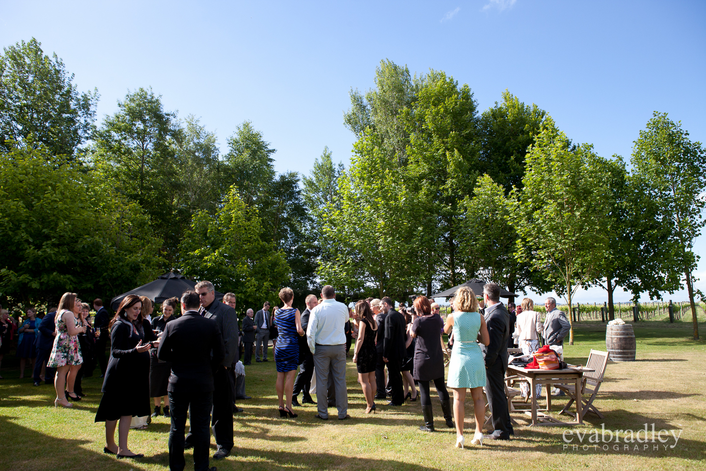 wedding photography hawkes bay