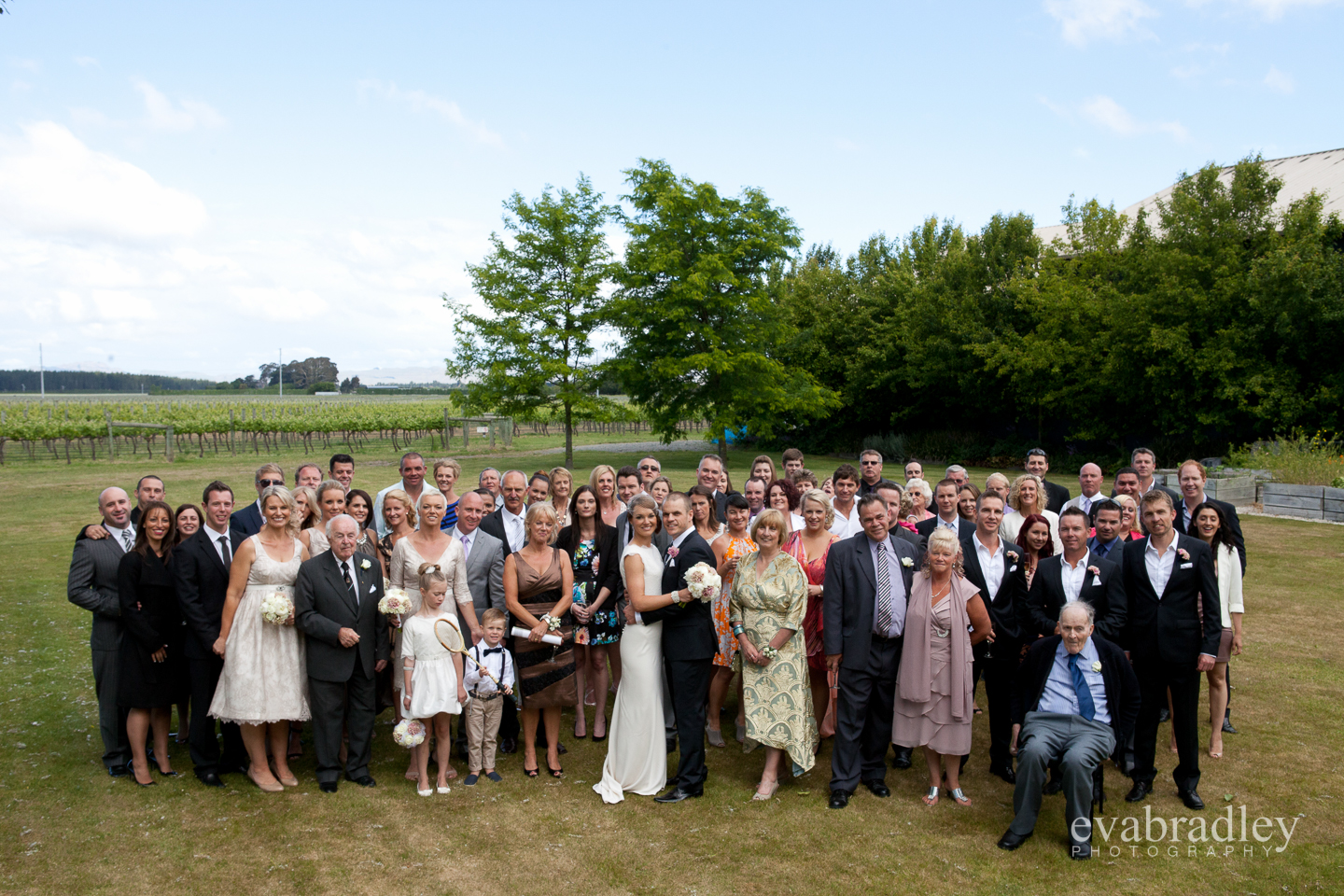 wedding photography hawkes bay
